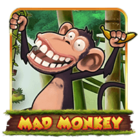  Mad Monkey